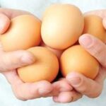 Названі корисні і шкідливі властивості курячих яєць