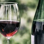 Червоне вино: користь і шкода алкогольного напою для організму людини