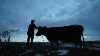 На кінофестивалі Tribeca відбулася прем’єра українського кіноальманаху 