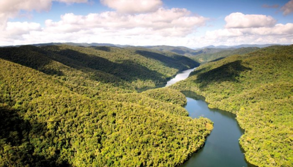 IFF відкриє біорозвідувальну лабораторію в самому серці Атлантичного лісу Бразилії.