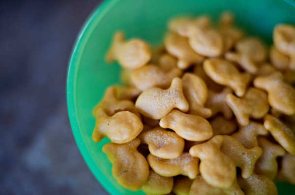 Продукція Campbell Soup Co. випереджає дані про прибутки