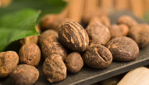 Сировина: Нігерія забороняє експорт сирих горіхів ши, щоб стимулювати зростання місцевої промисловості