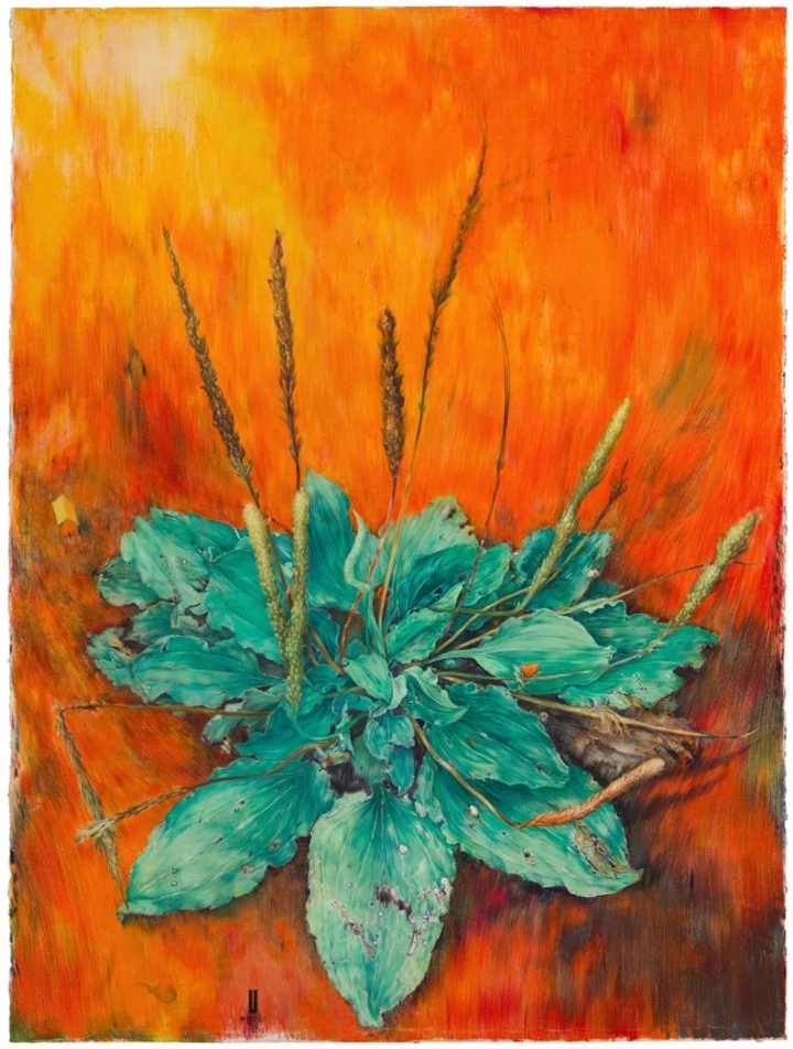 7 січневих виставок, які не можна пропустити
0