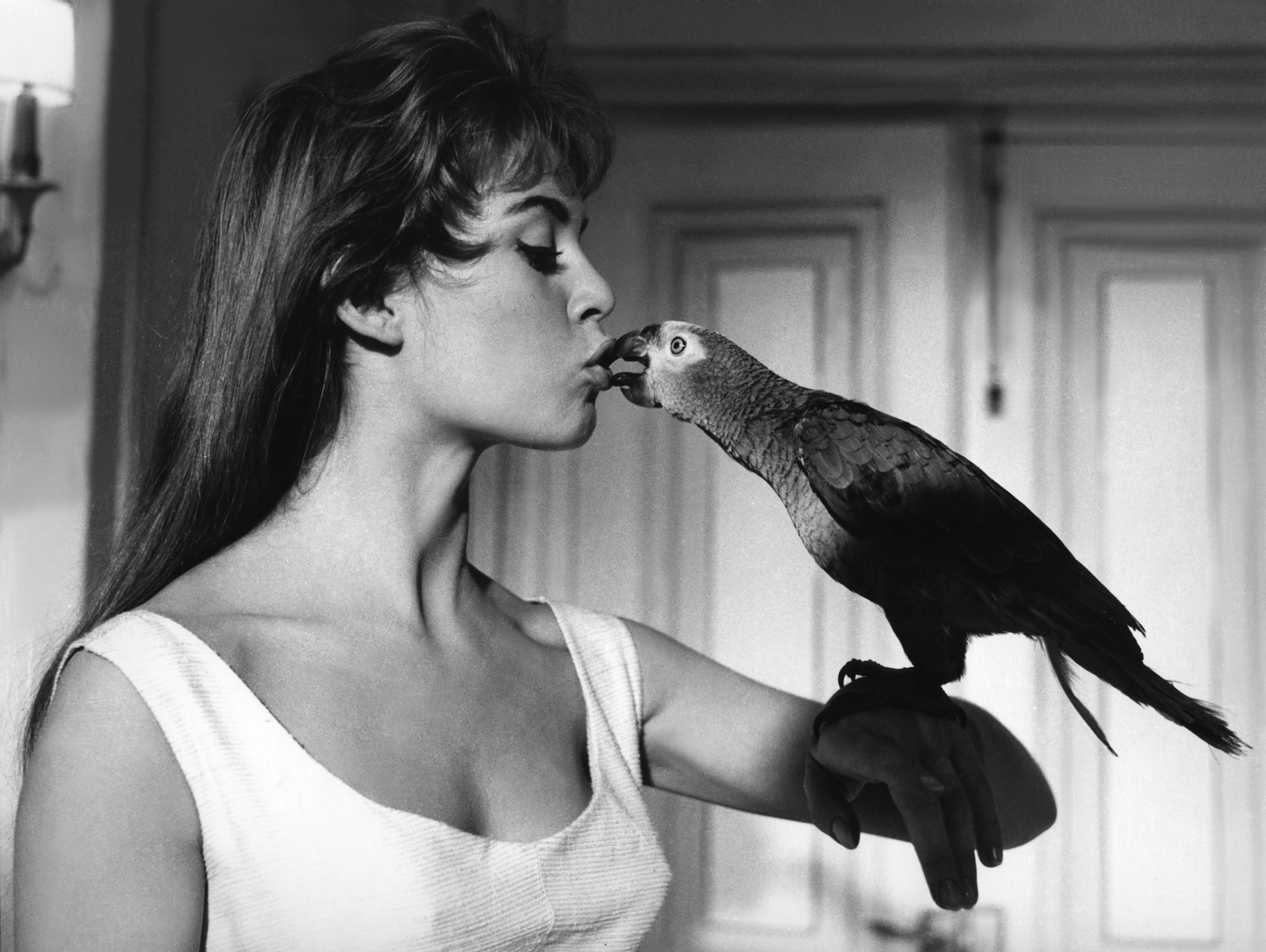 Відійшла у вічність ікона французького кінематографа Бріжит Бардо
28