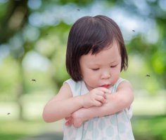 Що переносять комарі?