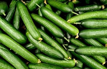 Українські огірки на прилавках: вартість