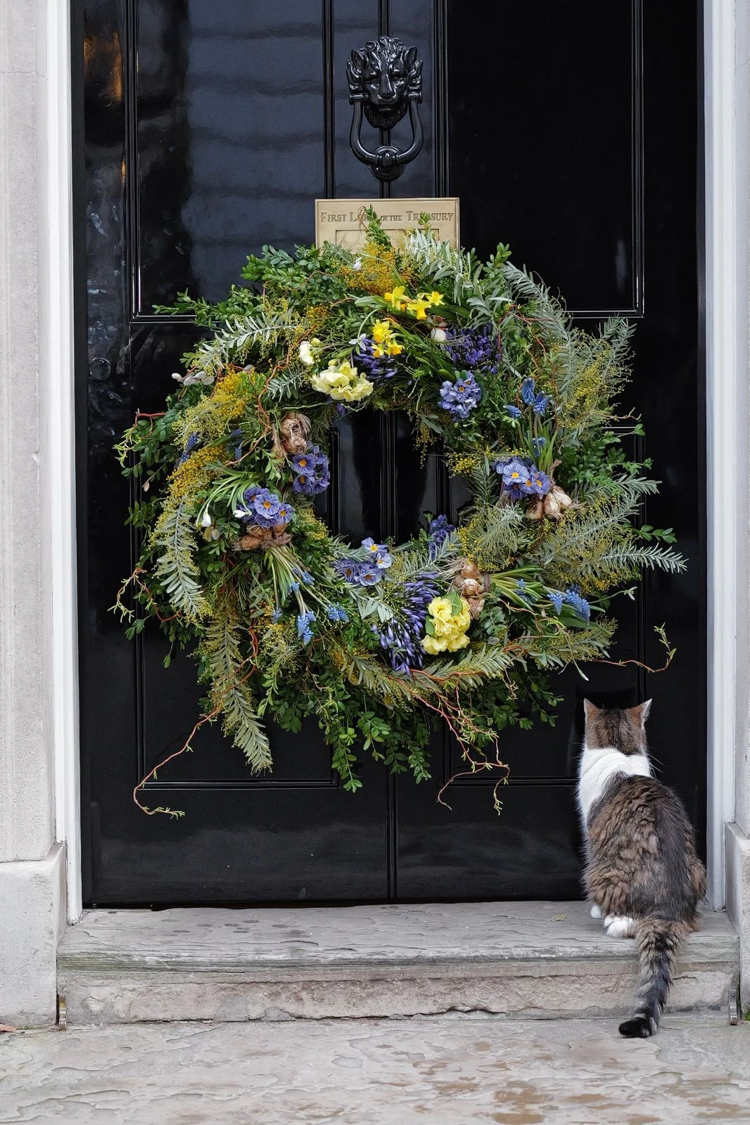 Лондонські двері, що найбільше запам'ятовуються, вшанували Україну віночком із верби.
1