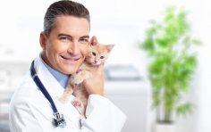 Вакцинація свійських тварин. Щеплювати чи не щепити?