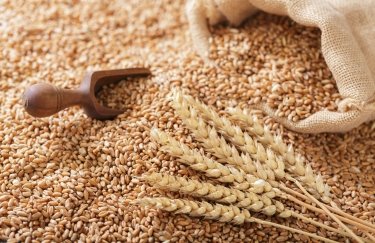 Україна скоротить експорт пшеничного борошна, – передбачення