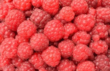 Польща допомогла українському експорту малини у 2025 році.