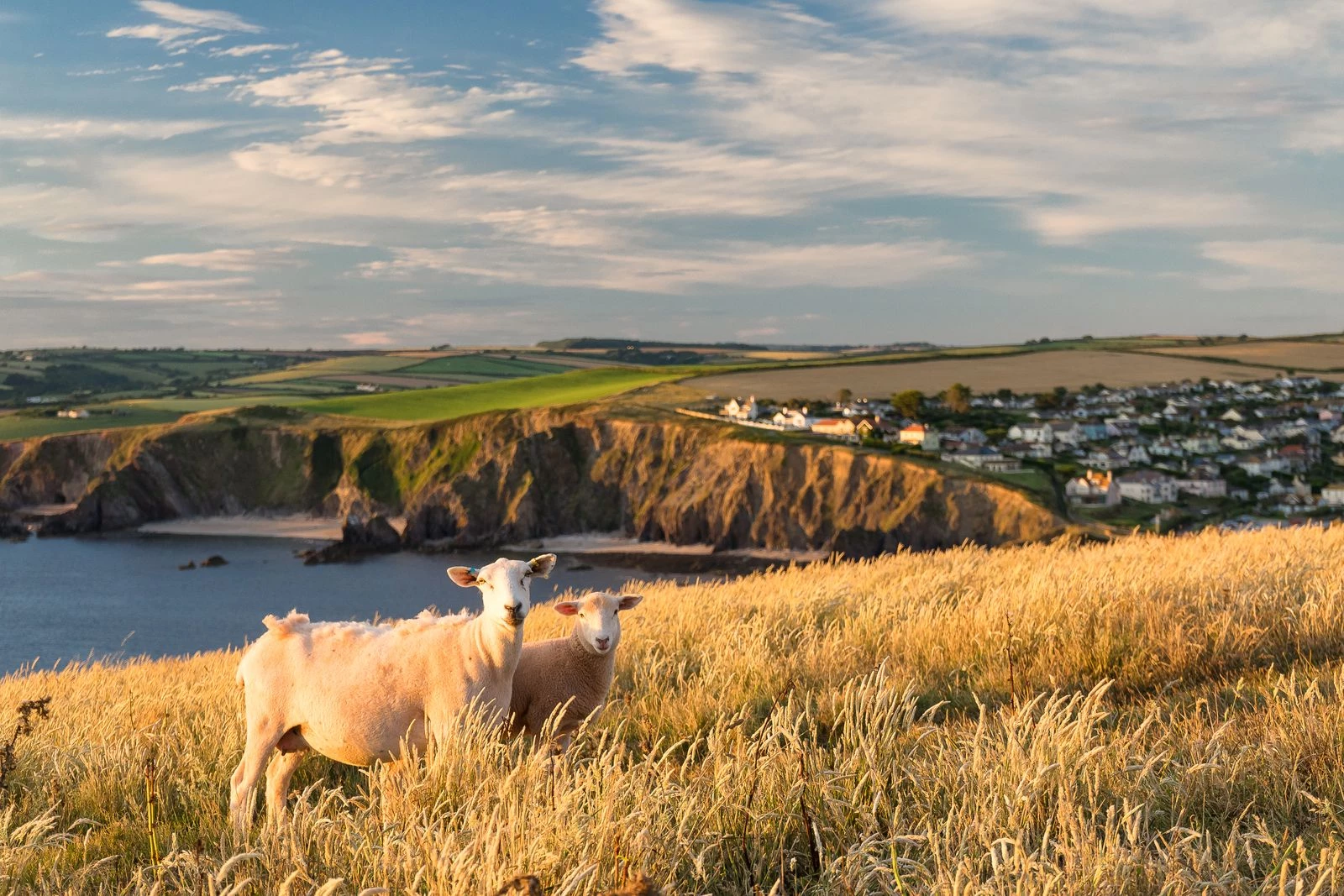 Топ-12 напрямків для відвідин у 2026-му.
9