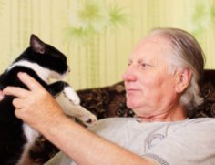 Чи варто карати кота?