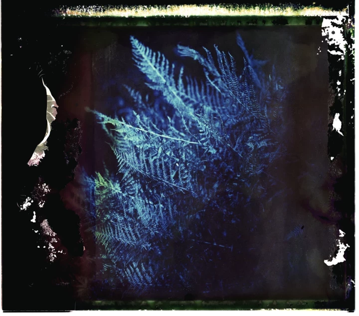 Чарівність Карпат, дівоча воля і чуттєвість на фотоекспозиції "Солоні роси" в Києві.
1