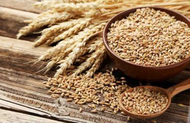 Україна ризикує зібрати 5 млн тонн непроданої пшениці: в чому проблема