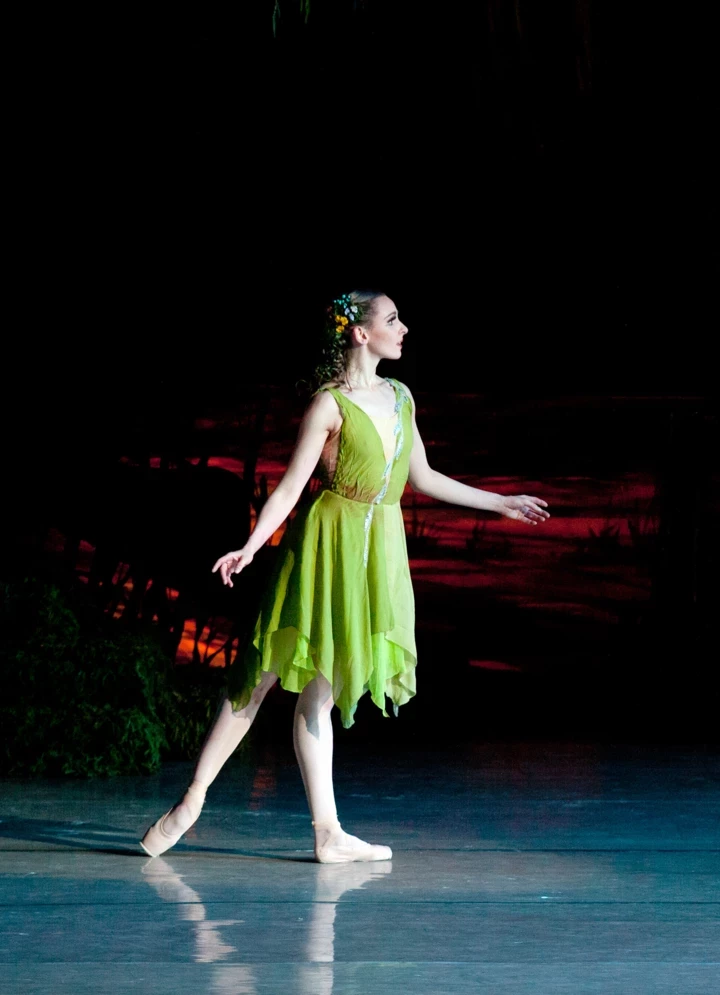 "Лісова пісня": ключові факти про визначний український балет
2