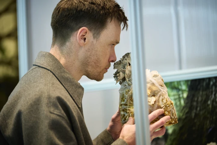 Що сталося з Amouage: бархатні зміни у шанованому бренді