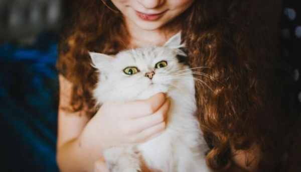 У чому секрети довголіття котів?