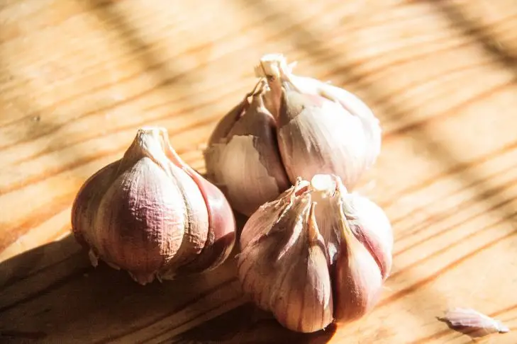 Скільки зубчиків часнику можна їсти за день: названо безпечну норму