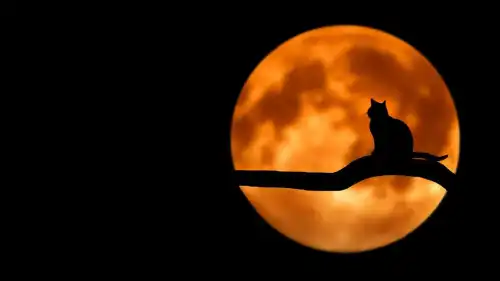 Чому колись повірили в містику і віримо досі