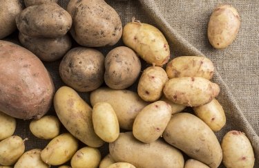 Знову дешевша картопля в Україні: фактори та ціна на ринках