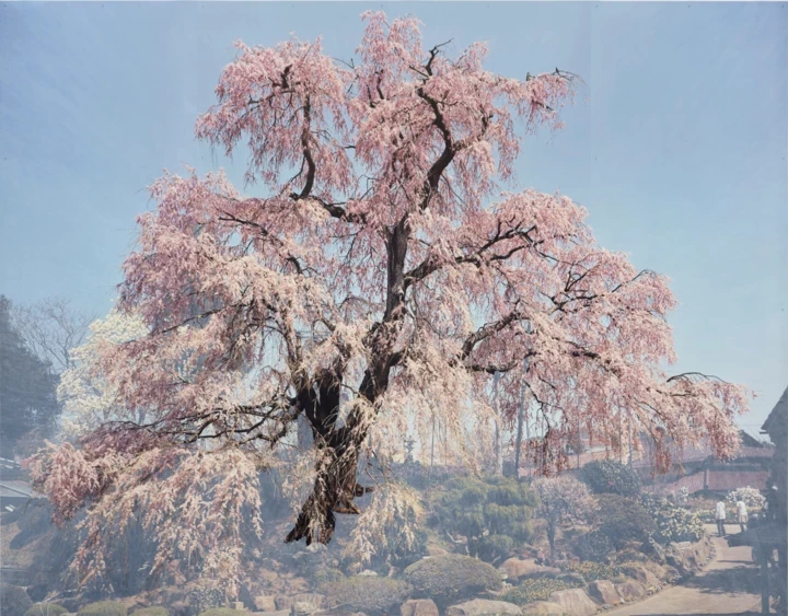 Топ-6 березневих виставок, вартих уваги в Києві
2