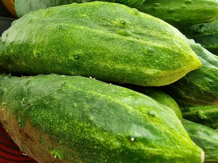 Що не можна їсти після огірків: несподівана реакція організму