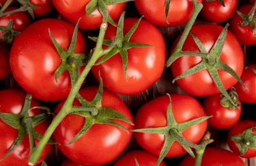 В Україні зріст цін на томати: імпорт зменшився.