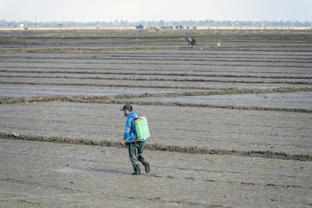 Шкідники аграрні