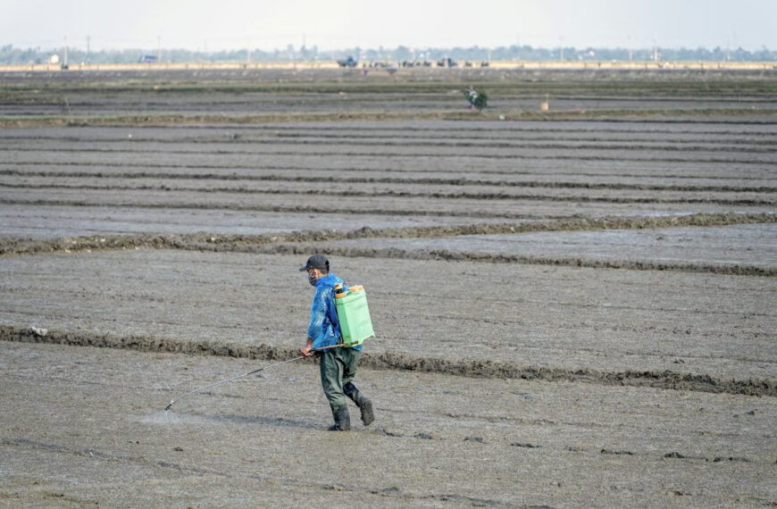 Яка реальна загроза від шкідників в аграрній справі