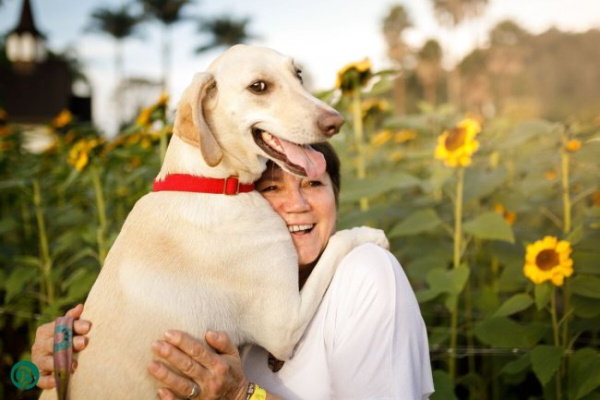 Чи відчуває собака, що його люблять — чи все зводиться до миски&hellip;