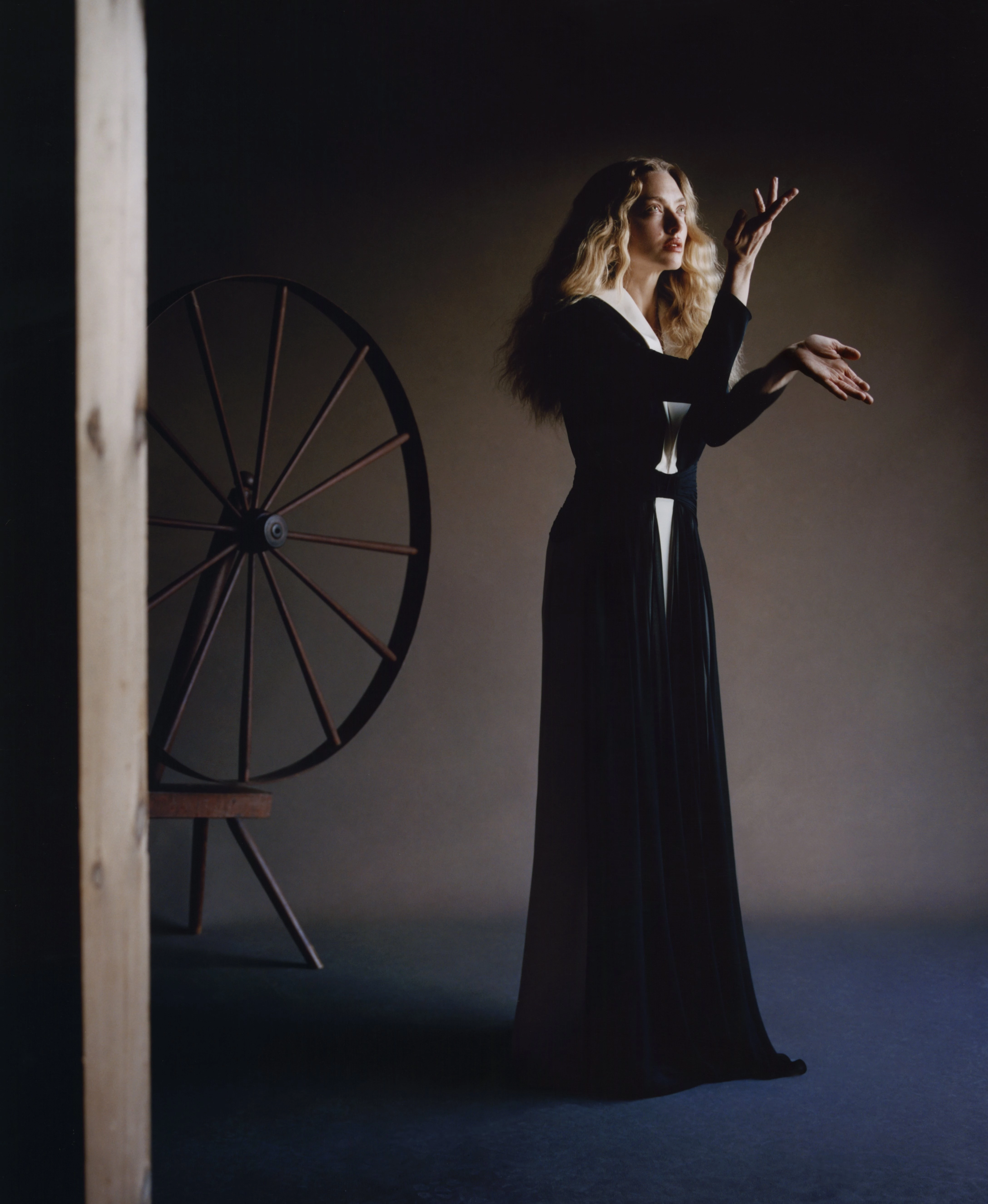 У гонитві за спокоєм: відверта розмова з акторкою Амандою Сейфрід
1