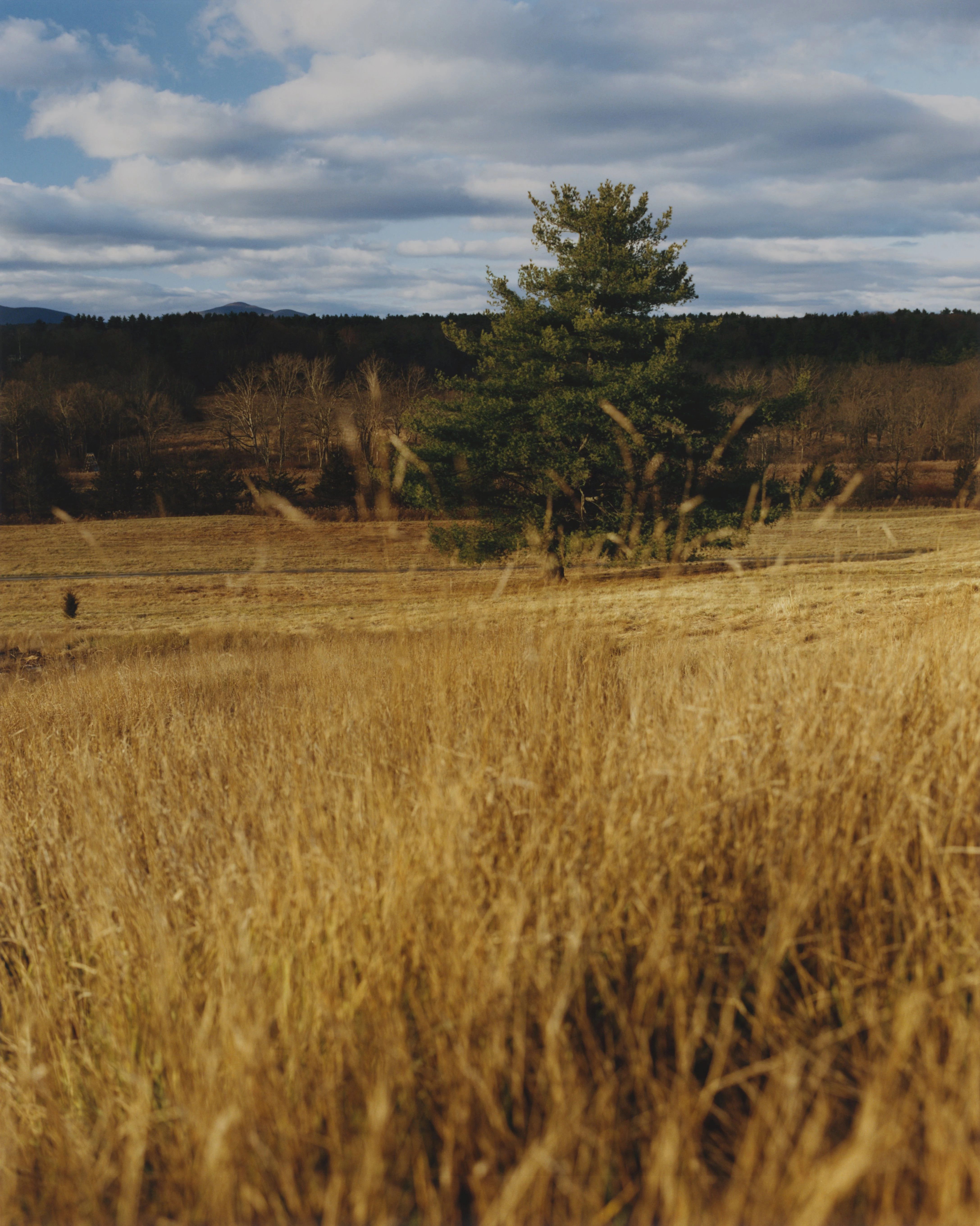 У гонитві за спокоєм: відверта розмова з акторкою Амандою Сейфрід
12