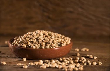 Соєвий та ріпаковий експорт: нові правила контролю.