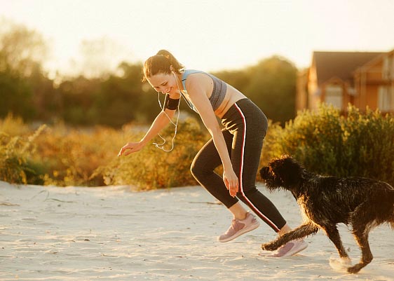 Тренуємо собаку з користю для себе