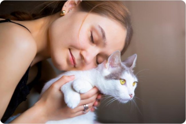 Чи розуміє кішка, що її люблять