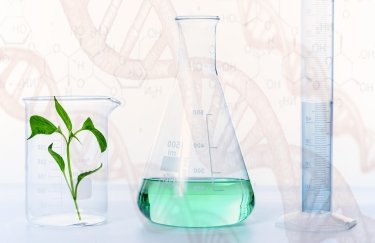 В Україні з осені 2026 року дозволять законний обіг ГМ-продукції: положення