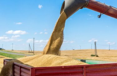 Зменшення вартості перевезень зернових автотранспортом: де найдешевша логістика