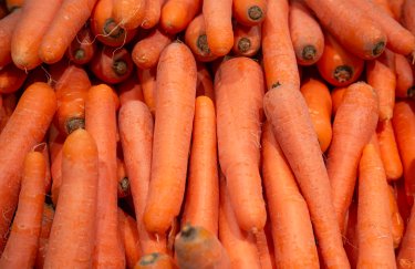 Морква в Україні: тижневий стрибок цін на 20%
