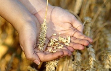 Не тільки збіжжя: агрокомпанія “Олімп” придбає потужності з видобування піску й виготовлення…