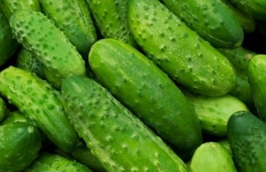 В Україні ціни на огірки різко падають: скільки коштує кіло?