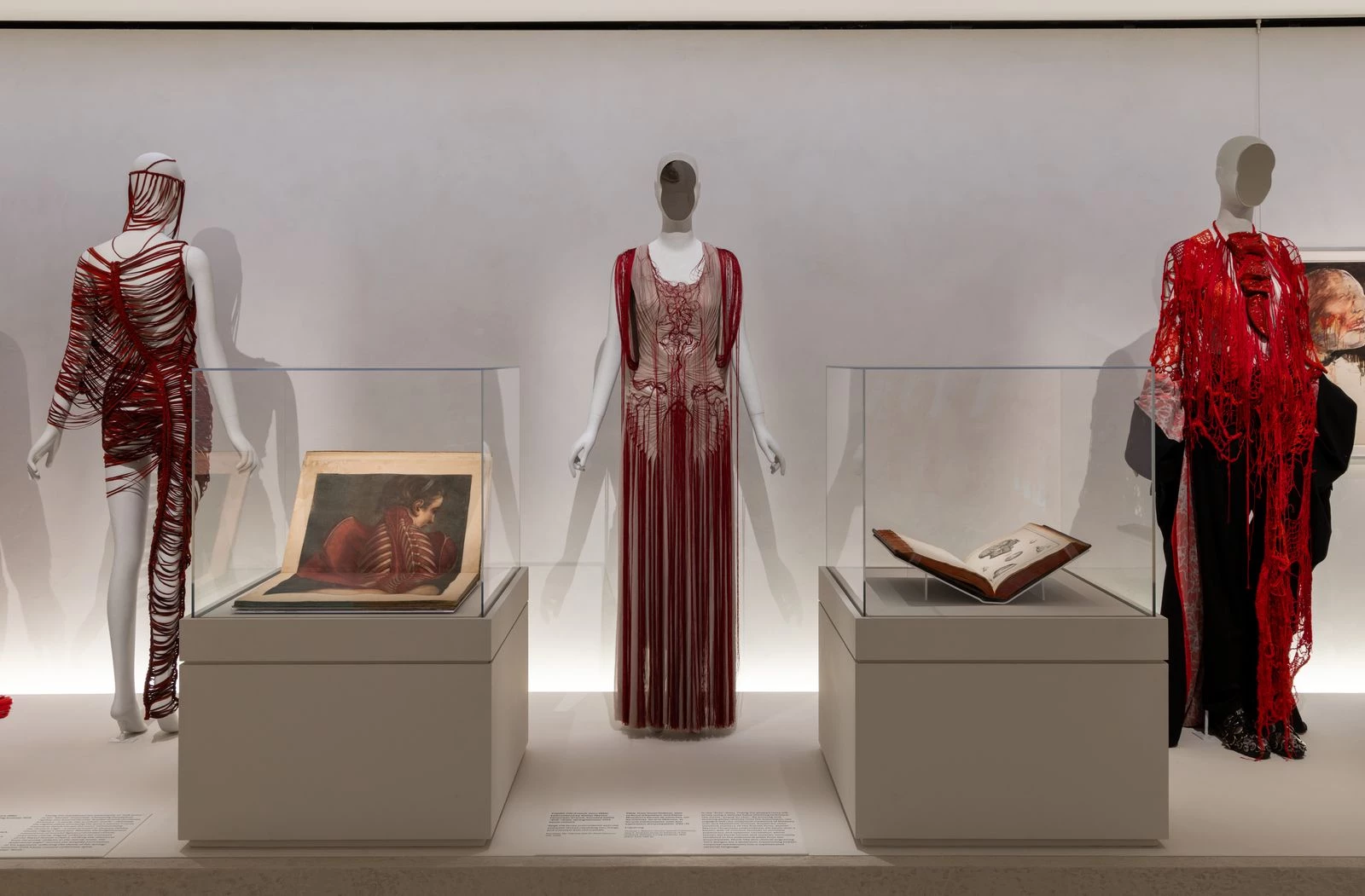 Розділ Vital Body, присвячений живому тілу. Фото: © Anna-Marie Kellen / The Metropolitan Museum of Art9