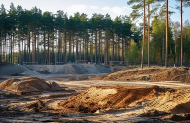 Котеджне містечко замість лісу: намагаються врятувати 13 гектарів зеленої зони під Львовом від забудови