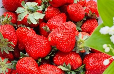 Фруктові ціни в Україні — актуальна вартість на 5 червня