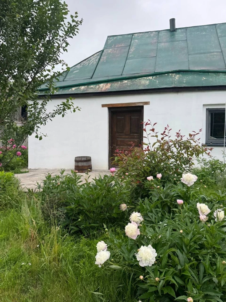 Практики заземлення: чому садівництво сьогодні необхідне для всіх1