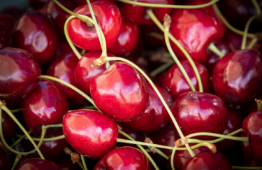 Вартість фруктів в Україні – актуальні ціни станом на 15 червня