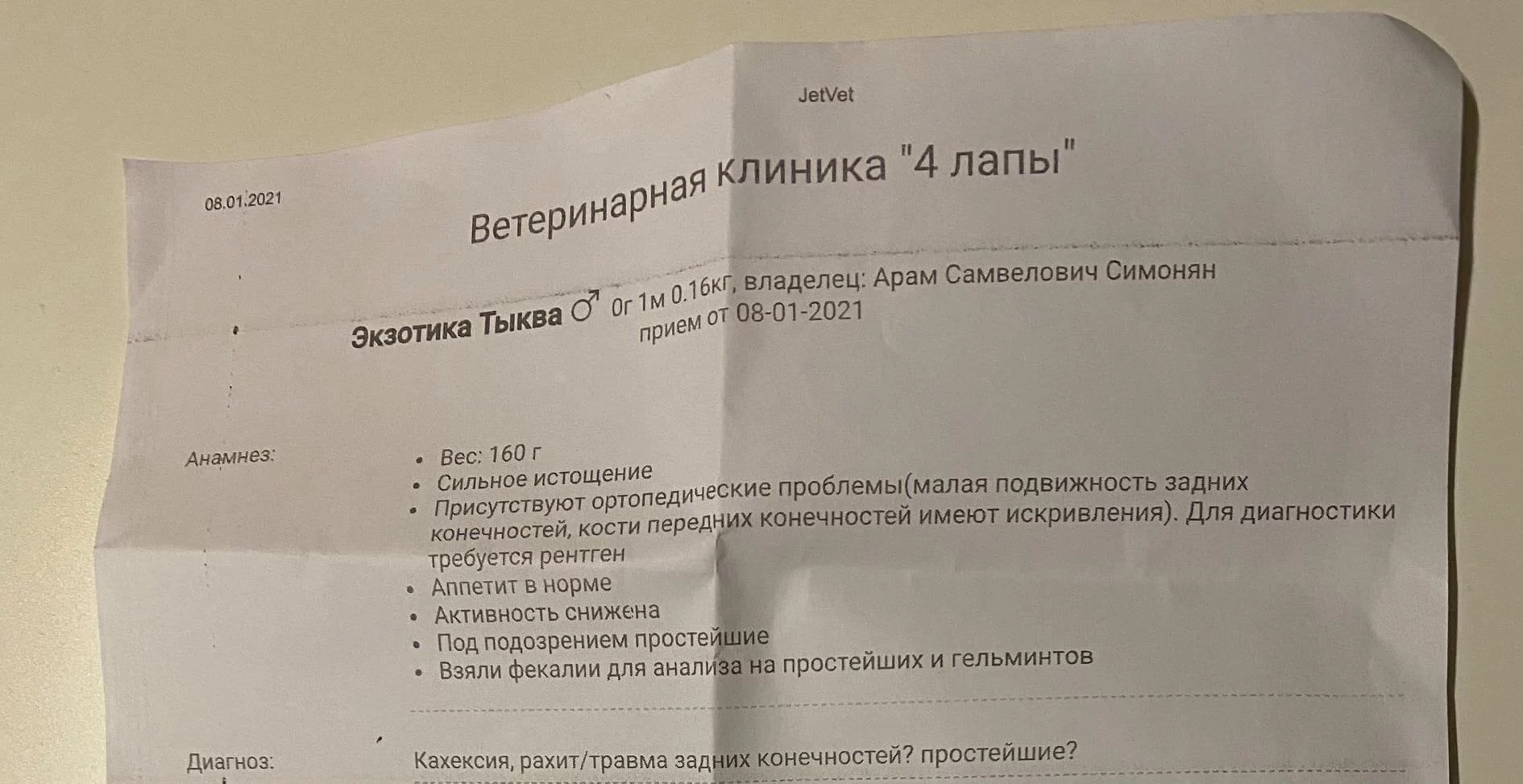 Зоомагазини MasterZoo звинувачують у байдужості до тварин. Розбираємося, в чому суть проблеми3