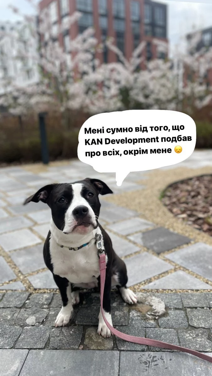 ЖК: чи законно заборонити вигул тварин2