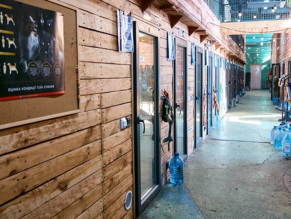 Patron Pet Center на ВДНГ: робота притулку для тварин