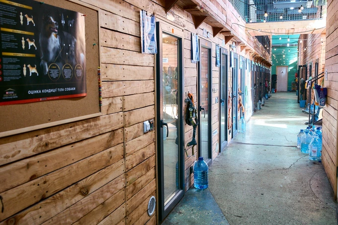 Patron Pet Center на ВДНГ: робота притулку для тварин0