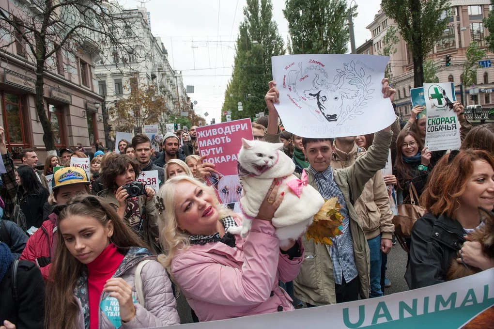 Пропозиція одружитися: учасники Маршу за права тварин у столиці України21